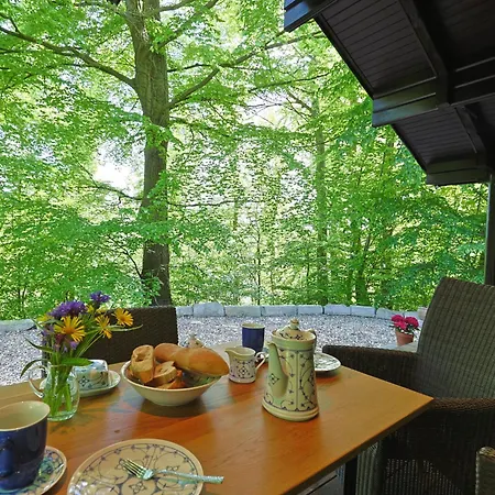 Bude 120 By Interhome * Bad Arolsen